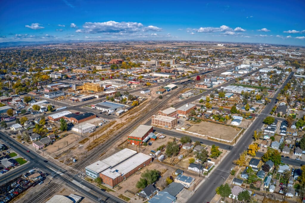 What to Look for in a Northern Colorado Realtor 4 - Black Bear AdobeStock 468060107 1 - What to Look for in a Northern Colorado Realtor - Black Bear
