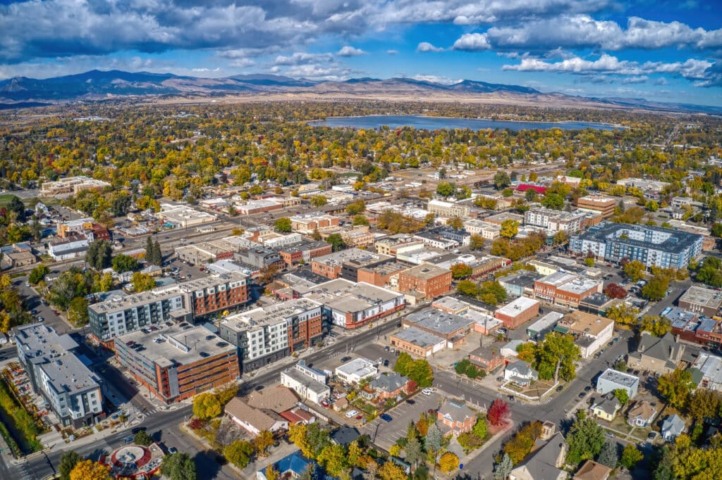 What to Look for in a Northern Colorado Realtor 2 - Black Bear AdobeStock 468063971 - What to Look for in a Northern Colorado Realtor - Black Bear