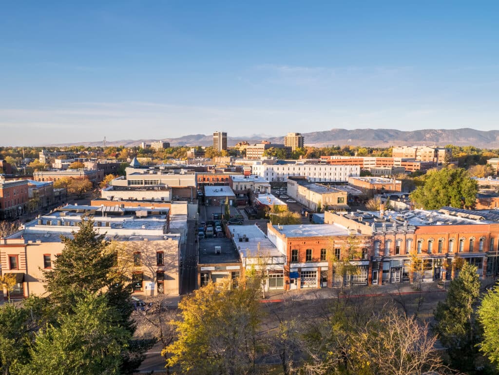 What to Look for in a Northern Colorado Realtor 1 - Black Bear AdobeStock 71744008 - What to Look for in a Northern Colorado Realtor - Black Bear
